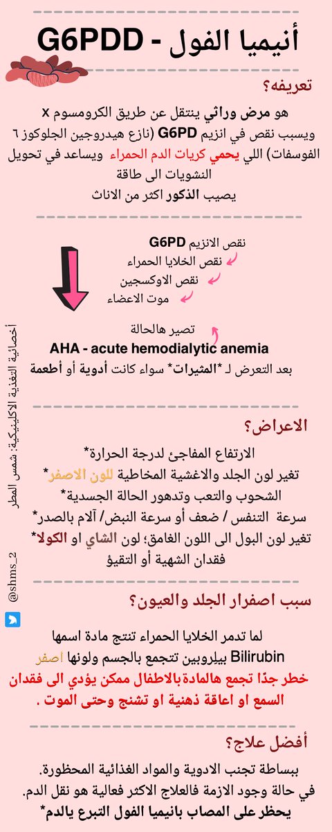شمس المطر 🌦 tweet media