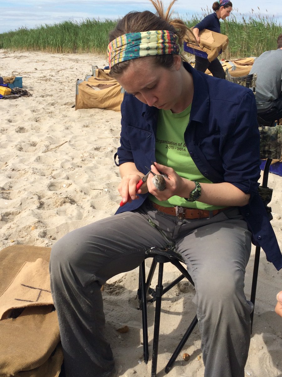 Job alert! Assistant Unit Leader/Research Ecologist/Wildlife Biologist at the Alabama Unit on the Auburn campus. 

Feds/other: usajobs.gov/GetJob/ViewDet…

Public: usajobs.gov/GetJob/ViewDet…