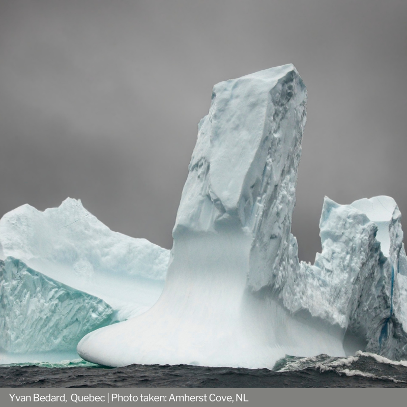 UKinCanada's tweet photo. After reviewing over 💯 submissions from across 🇨🇦 our judges were significantly moved by these climate stories 🌱
Congratulations to our incredible #CapturingClimate winners 🥳🥳
See them all at ➡️ https://t.co/LD20HRTKv8