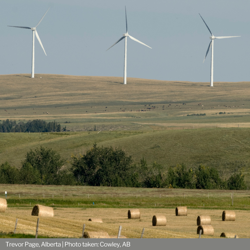UKinCanada's tweet photo. After reviewing over 💯 submissions from across 🇨🇦 our judges were significantly moved by these climate stories 🌱
Congratulations to our incredible #CapturingClimate winners 🥳🥳
See them all at ➡️ https://t.co/LD20HRTKv8