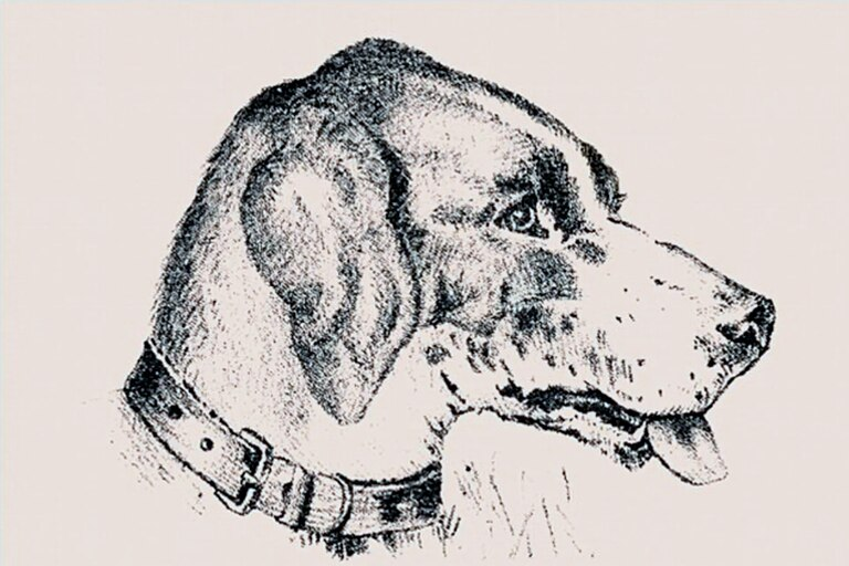 El desafío visual de 140 años que pocos pueden resolver: ¿dónde está el hombre? lanacion.com.ar/lifestyle/el-d…