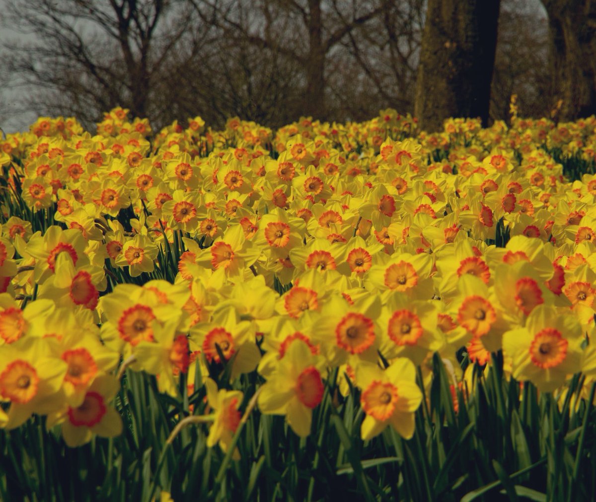 Warmest wishes for a relaxing and safe Easter Break - to everyone in the Tormead Community! 🌼🌸
