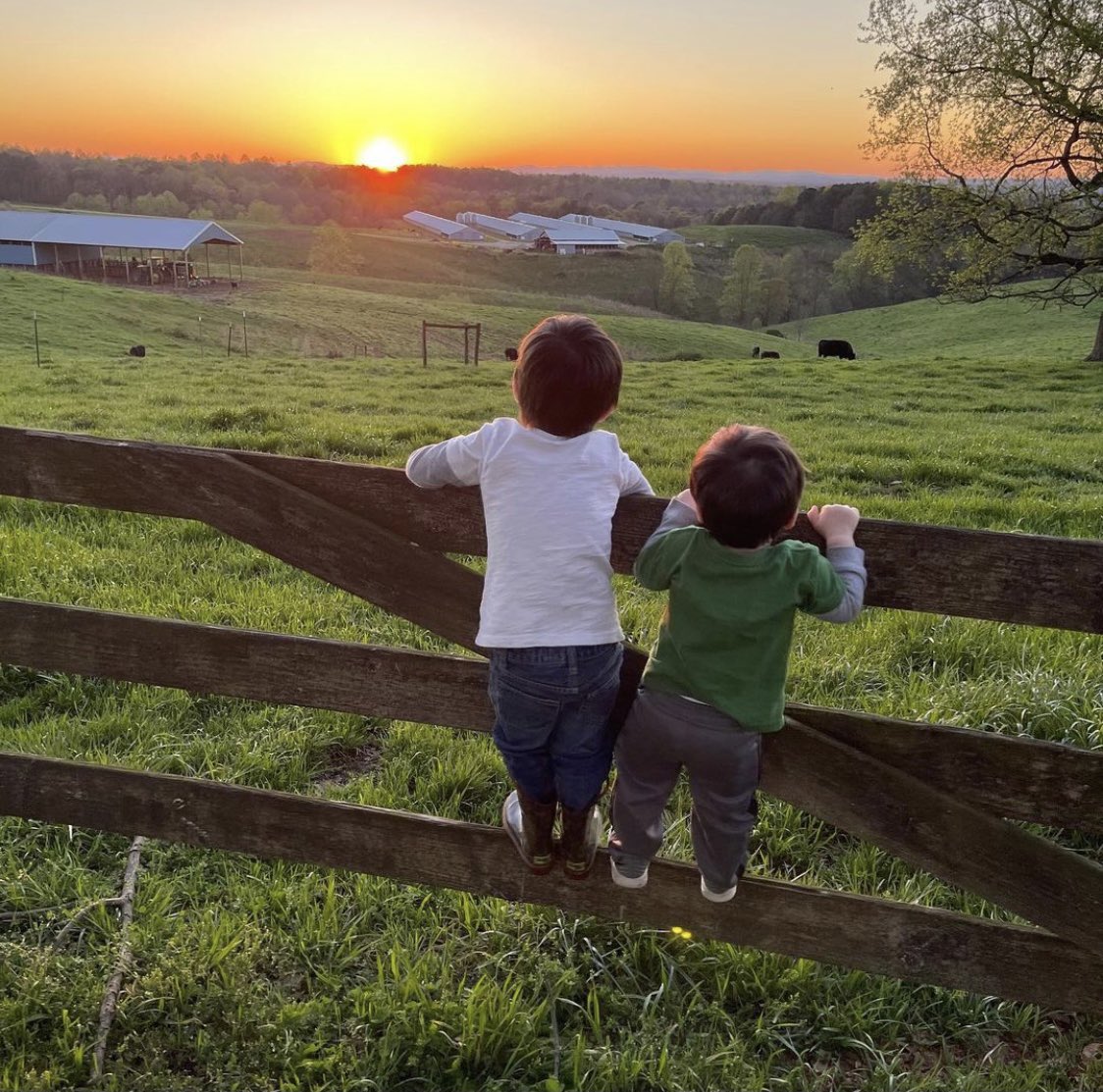 AlabamaPoultry's tweet photo. We see a bright future in the distance! #ALPoultry #ManyFlocksOneGoal
.
.
.
📷: Ben Hunt https://t.co/SloODONrK2
