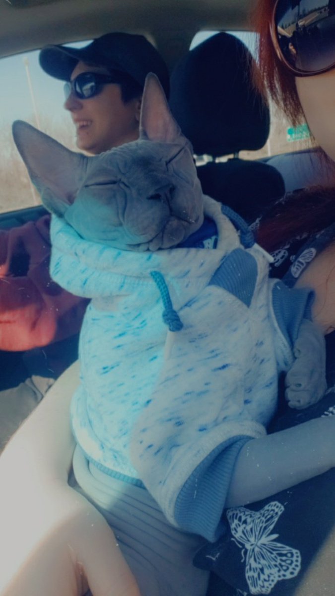 WayGalaxies's tweet photo. I went on an adventure yesterday to these places called

Werk and grandma's house. https://t.co/Sq4ae35pfQ