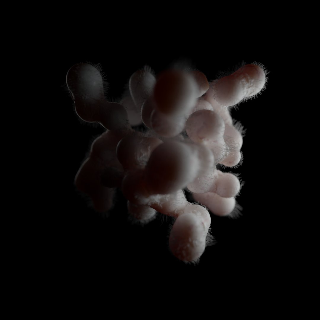 hereandnow tweet media