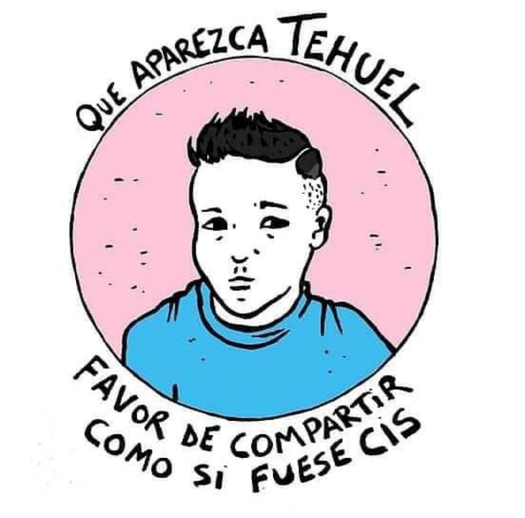 Hoy es el #DiaVisibilidadTrans y #Tehuel no aparece.