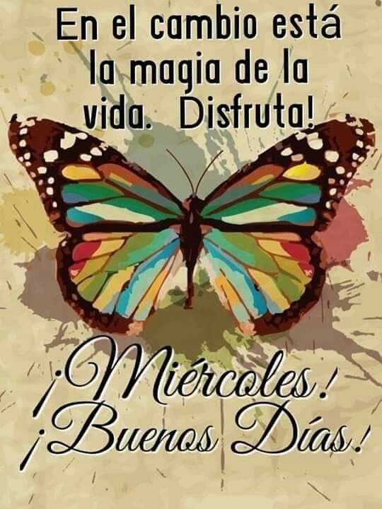 🦋..💐..♥️..