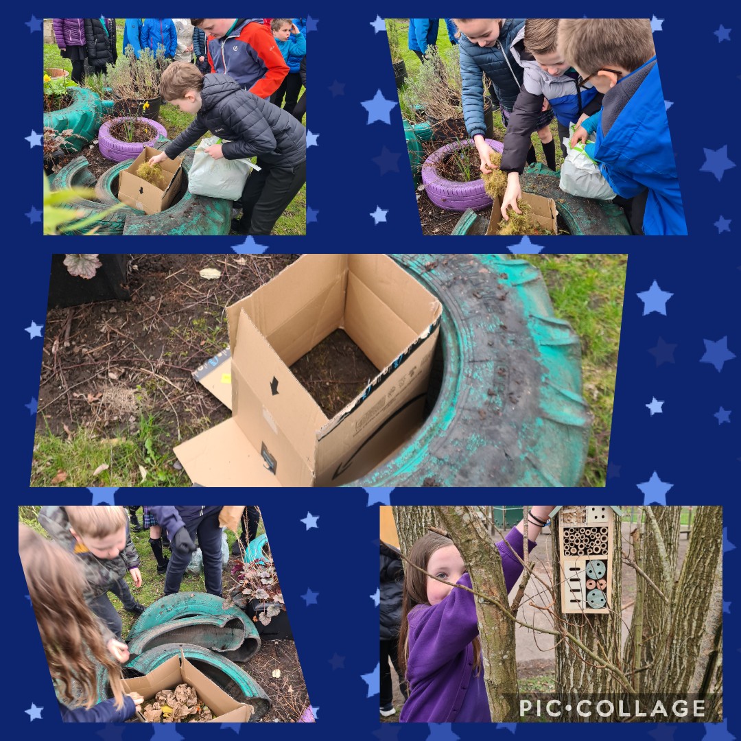 <a href="/KPS_MsJ_P5L/">Ms Jack</a> @KPS_Primary5N worked together in a socially distanced way this afternoon to design and create a compostarium for our <a href="/RSPBScotland/">RSPB Scotland</a> Silver Award #wildchallenge - so much fun and great discussion🪱✅ <a href="/RAiSE_falkirk/">Falkirk STEM</a> <a href="/KPS_STEM/">KPS_STEM</a>