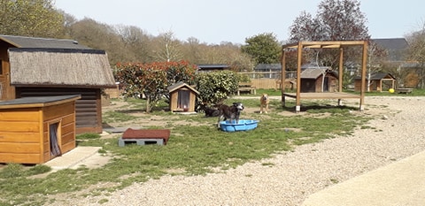 FBB / La vie de nos 3 refuges et des animaux 🏡 tweet media