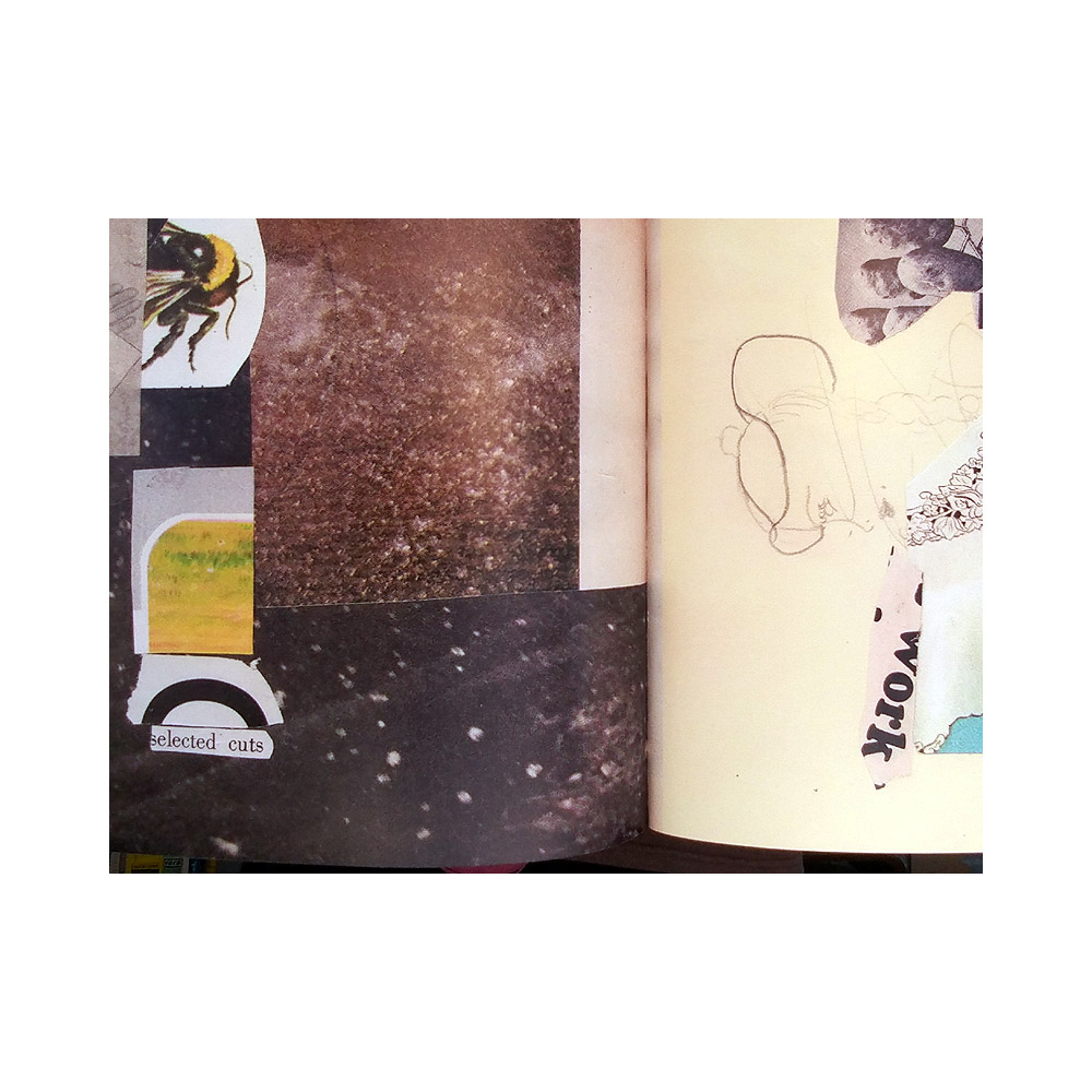 fred free tweet media