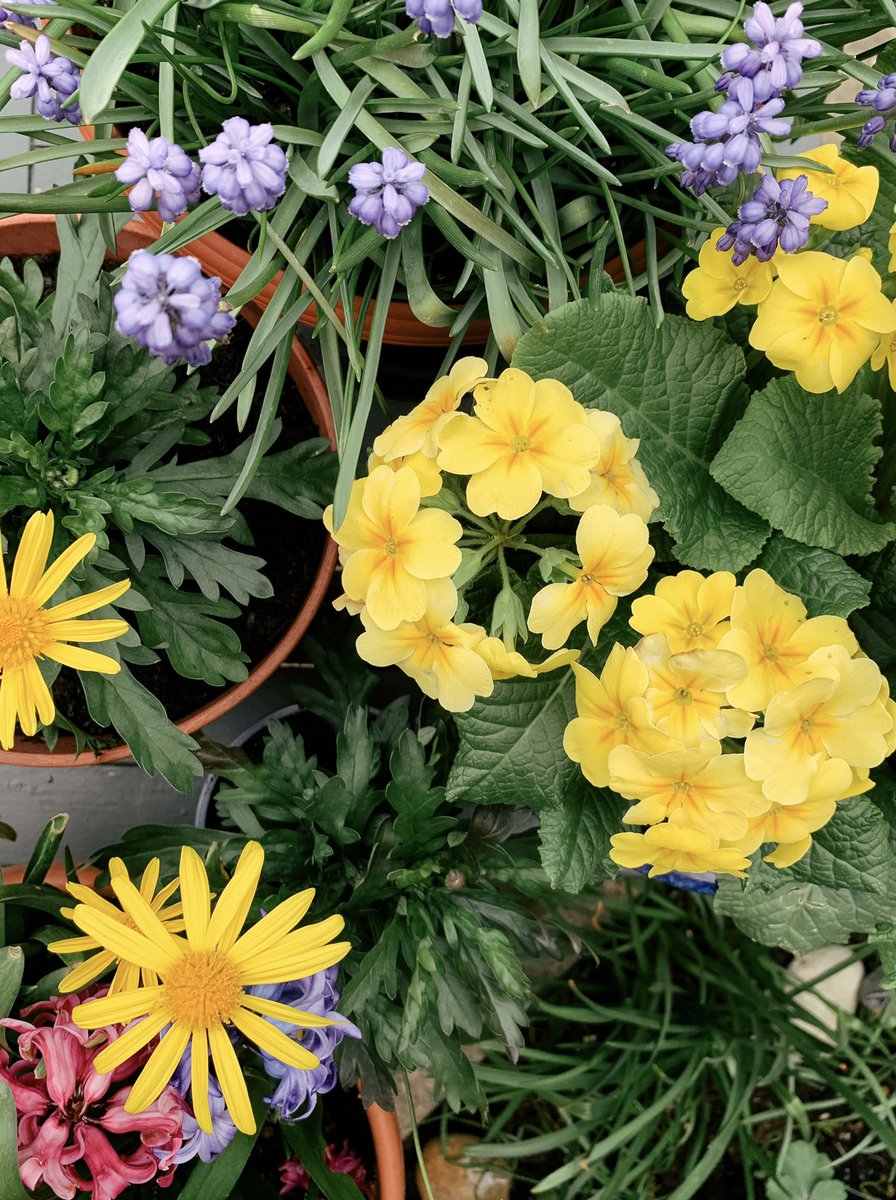 2021 Easter Opening Hours for our Ironmongers store:

Good Friday 9-5pm
Saturday 8-5pm
Easter Sunday CLOSED 
Bank Holiday Monday 10-4pm

Wishing you all a happy Easter!