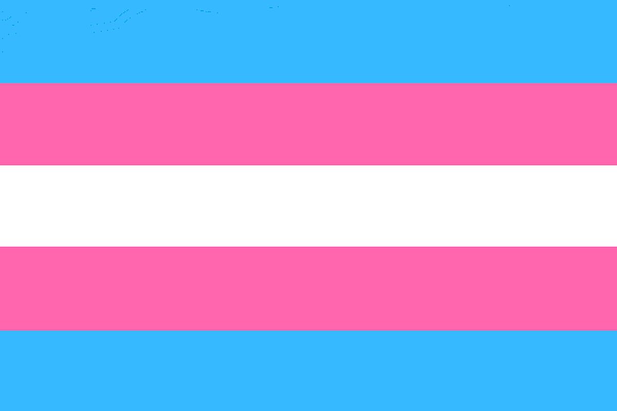 Today is #TransDayofVisibility, and while an avalanche of anti-trans legislation is passed around the country, I am glad to represent NY, where earlier this year we passed the #WalkingWhileTrans Ban. But visibility is not enough: we must continue the fight for full equality.
