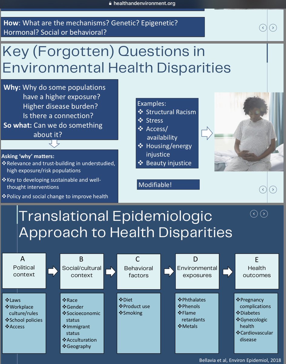 fibroidsupport's tweet photo. @dr_marver @doccrearperry @mclemoremr @TamaraLewisJoh1 @maeveellen @JMRROOTTRJ @ROOTTRJ @RJEpiOBWarrior @WhitneyEpi @Theresa_Chapple @fivexmore @VP Some Prevention Insights coming now from #Exposome Epidemiological(Risk Factor)Research on Black #Maternal Health &amp; Deaths
Great 🎥Free Webinars &amp; Slides on link:
@AAPolicyForum @CHE_healthenv @amizota #EDCs #GenerationChemical #Epitwitter @Theresa_Chapple
https://t.co/u6X4fw2WBs https://t.co/SPRde40Tka