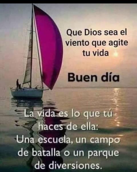 Bea611b's tweet photo. @Guaritoto Bonito y bendecido día Coplero ☕🍰⚘⚘⚘ https://t.co/VJEQTOhr27