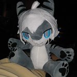 Photo by TheNamesJackal (@JackalNames)