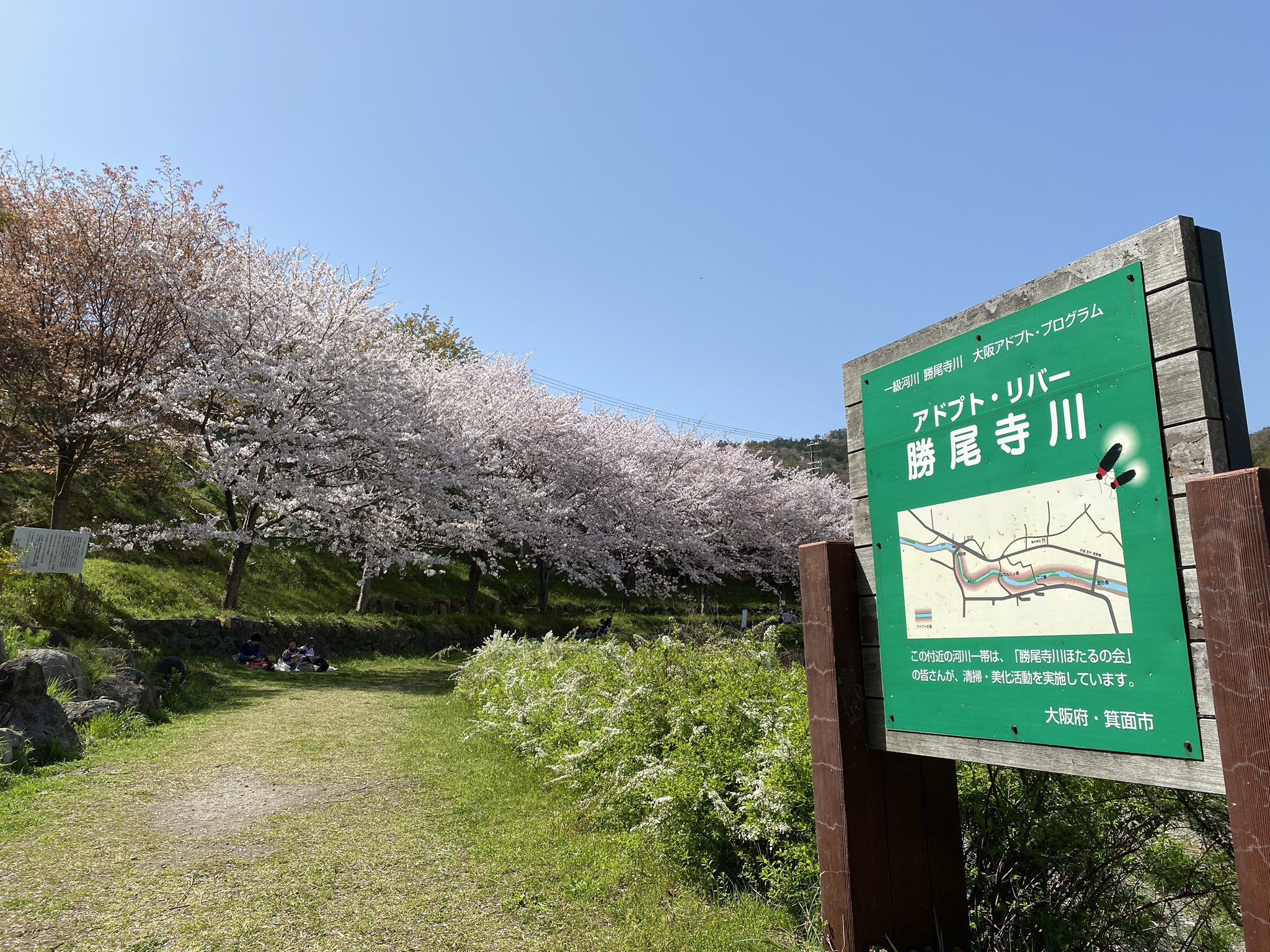 箕面のラジオ局タッキー816 勝尾寺川沿い 21 3 31 タッキー816エア花見 箕面 T Co Obqcbiknrp Twitter 箕面のラジオ局タッキー816 勝尾寺川沿い 21 3 31 タッキー816エア花見 箕面 T Co Obqcbiknrp Twitter