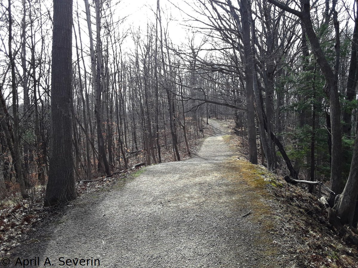 AprilAnne2014's tweet photo. 📷 Cell pics 3/30/21 #MonarchTrail #DundasValley #HCA #HamOnt #Canada #NorthAmerica #ConservationArea #trail #forest #woods #pond #nature #spring #photography #CanadianPhotography https://t.co/hjH2VDHtC2