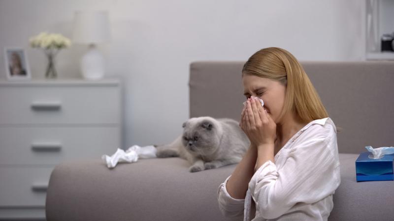 AriezPublishing's tweet photo. REVOLUTIONAIR NIEUW KATTENVOER PAKT ALLERGIE BIJ DE OORZAAK AAN: UW KAT Lees:
https://t.co/xMEMutxPyw
#allergie #nestlé #purina #katten #poezen https://t.co/GLq7csKilr