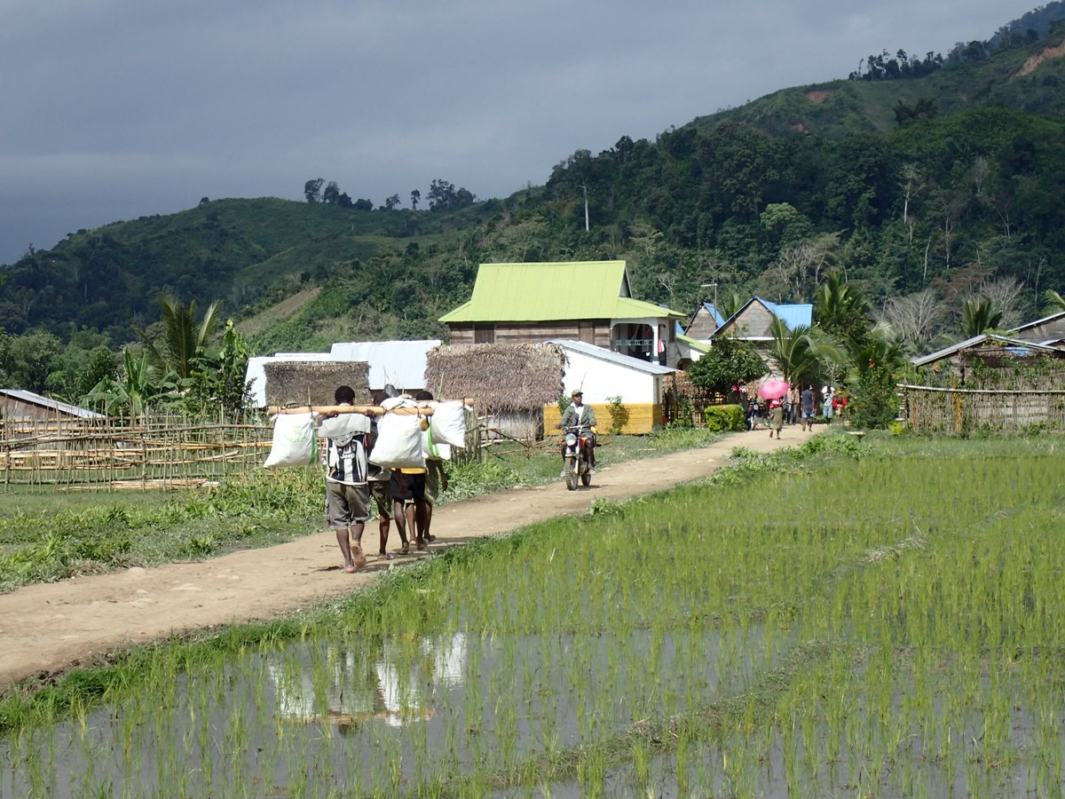 R4D Telecoupling tweet media