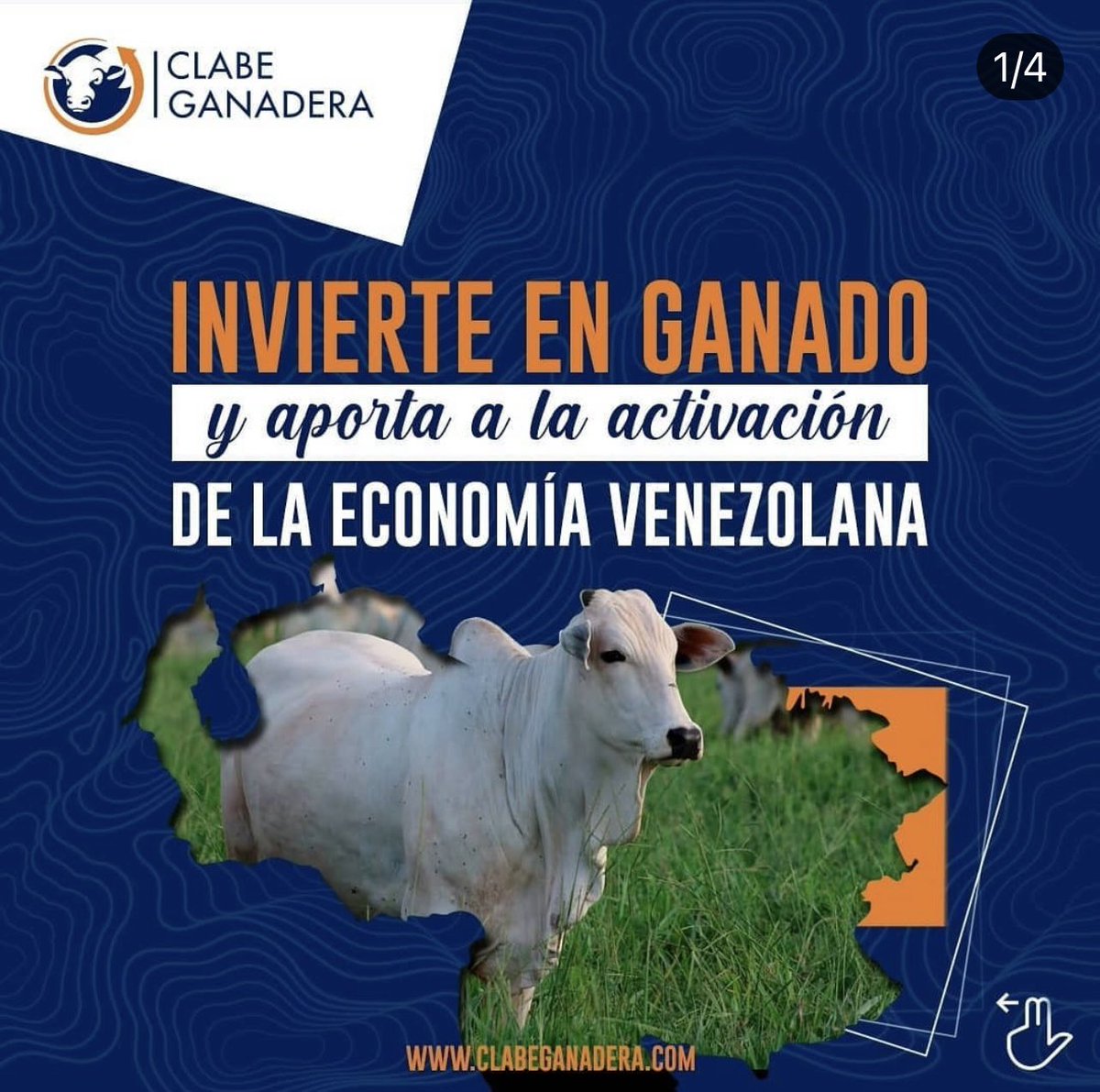ClabeGanadera's tweet photo. La economía venezolana es monoproductora y depende en gran medida del #Petróleo, por eso la inversión en ganado es una vía de diversificación rentable.

No sólo conseguirás proteger tu situación económica, también contribuirás al desarrollo nacional.

#crowdfarming https://t.co/EtF7wb0rRZ