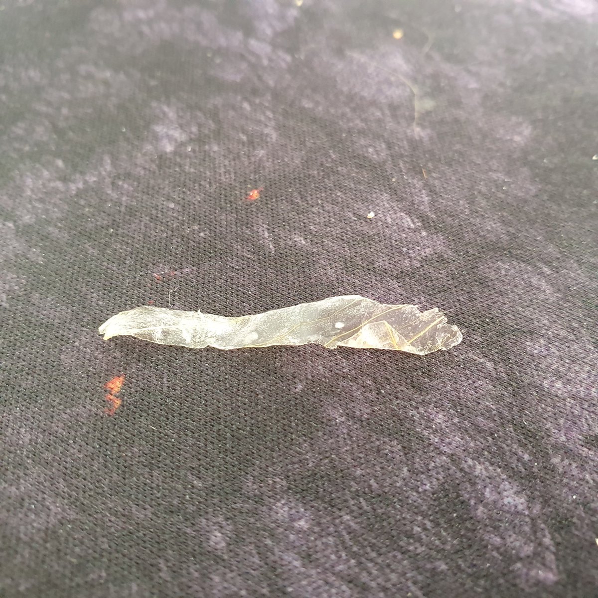 AmanDon_'s tweet photo. Any idea why this is in my sandwich bro? @Tesco  meant to be chicken bacon &amp; stuffing, not chicken bacon and bastard plastic. https://t.co/VvCHlm5PJh