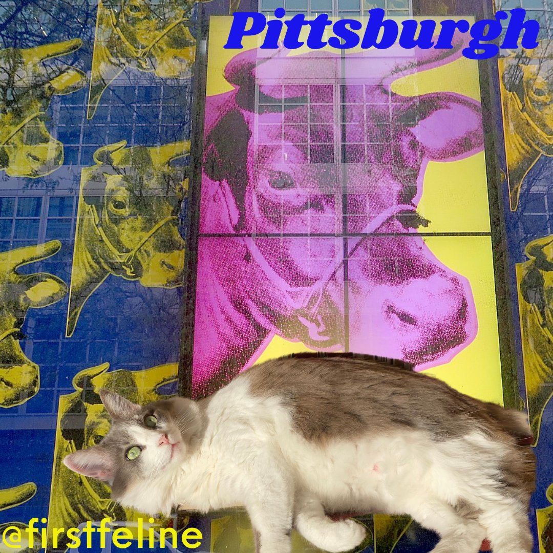 Holy cow! Olivia is souping up the art at @thewarholmuseum before virtually visiting her #Pittsburg friends today at @animal_friends @AnimalProtectrs!

Follow @firstfeline as we visit all 50 states on our way to meet the #firstfeline when they arrive at the #whitehouse!