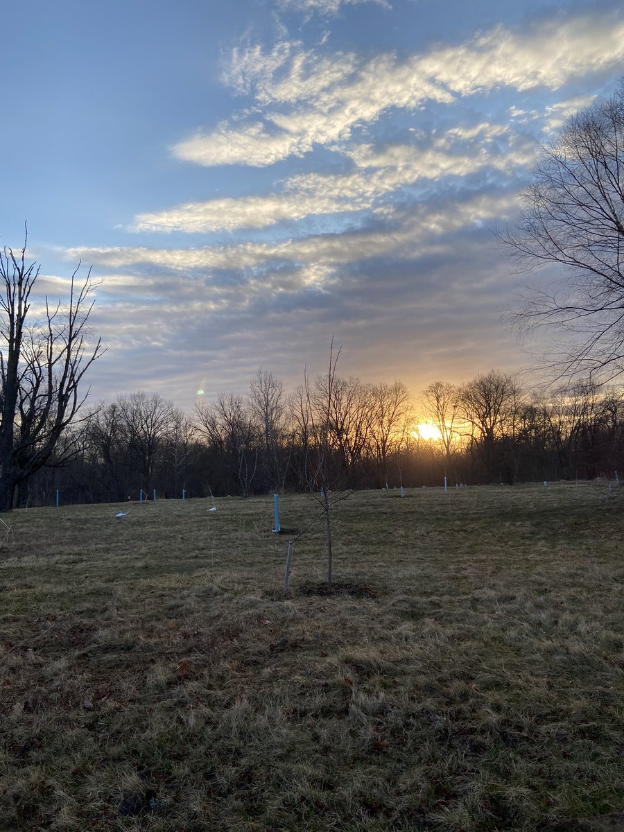 robertgstreit's tweet photo. Early morning #birding in Detroit’s Eliza Howell park and along the rouge river https://t.co/v5BOlu6LjG