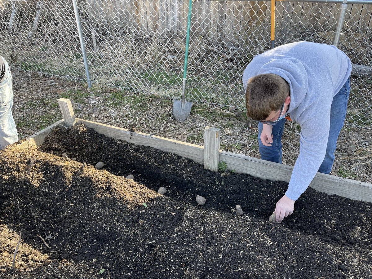 StreatFFA's tweet photo. With higher than average temperatures predicted for the month of April, potatoes 🥔 hit the ground today! Three (3) potato beds were planted by 9 am today by horticulture students! #learningtodo #doingtolearn #potato #streatorag #servicelearning #communityfood #edibleacre https://t.co/1Cln4U3Gl0