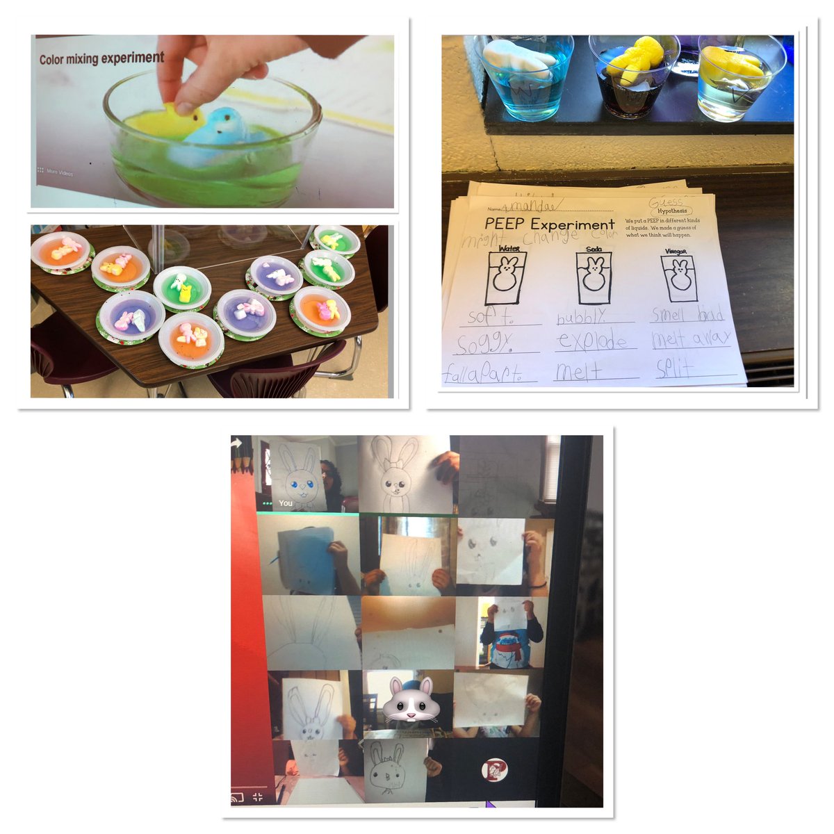 zulma_ppsgrade1's tweet photo. Peep science, challenges and drawing fun! Keeping busy in room 105 https://t.co/UyuDDOOFFx