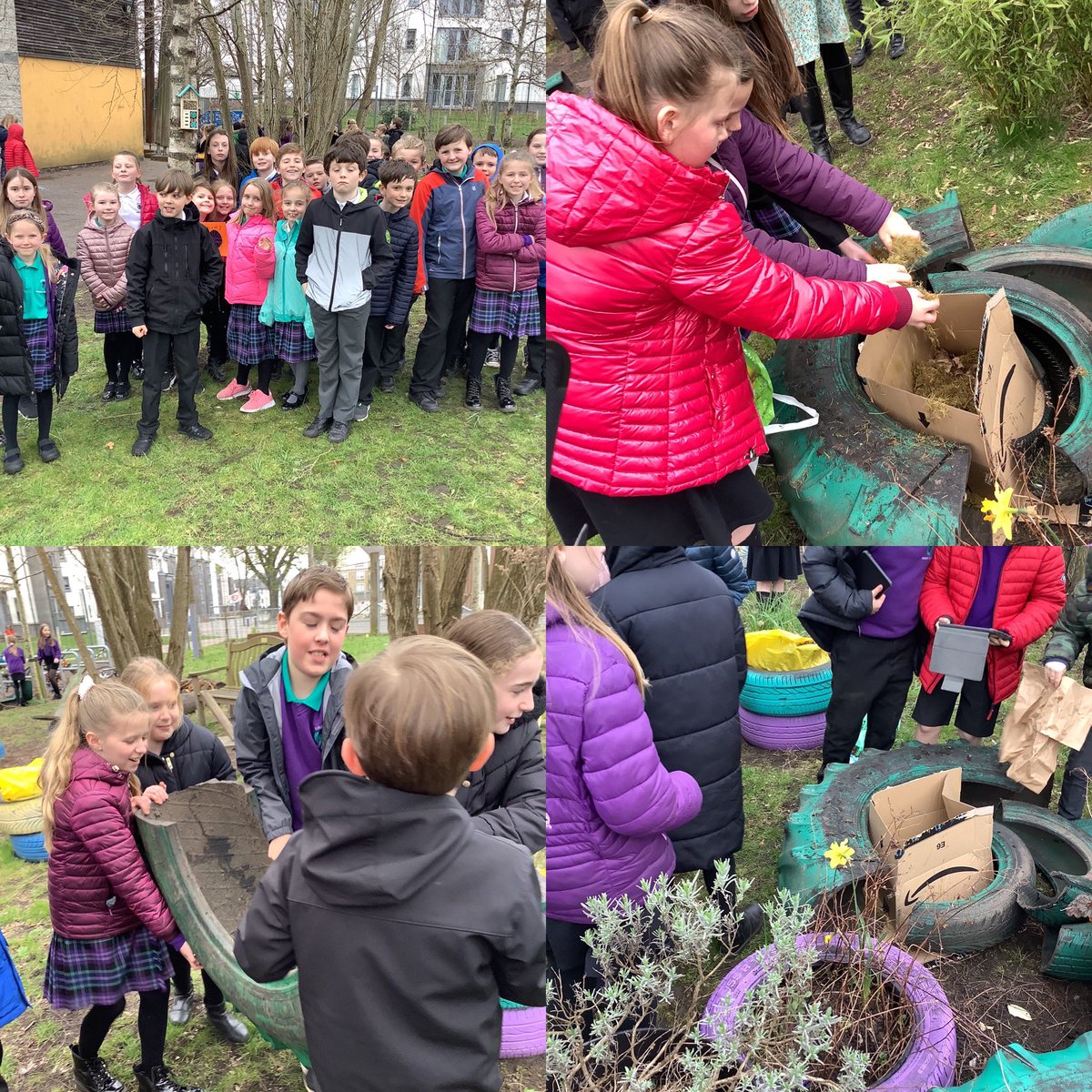It was great to work together to design and create a compostarium for our <a href="/RSPBScotland/">RSPB Scotland</a> Silver Award #wildchallenge 🪵🍂🪨🪱🐛🐌✅ <a href="/RAiSE_falkirk/">Falkirk STEM</a> <a href="/KPS_STEM/">KPS_STEM</a> <a href="/KPS_MsJ_P5L/">Ms Jack</a> We can’t wait to check back in a few weeks to see what’s happened! #WildWednesday
