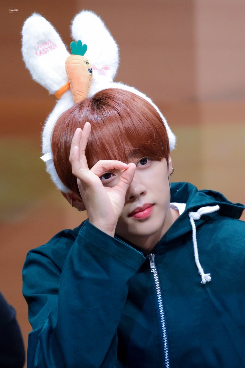 YOUJUST950902's tweet photo. 친구네 강아지                       친구 아덜램
친구네 고양이                       친구네 쥑쥑이

#몬스타엑스 #민혁 #더보이즈 #선우 #SF9 #휘영 #피원하모니 #지웅 https://t.co/zniBG6tjaw