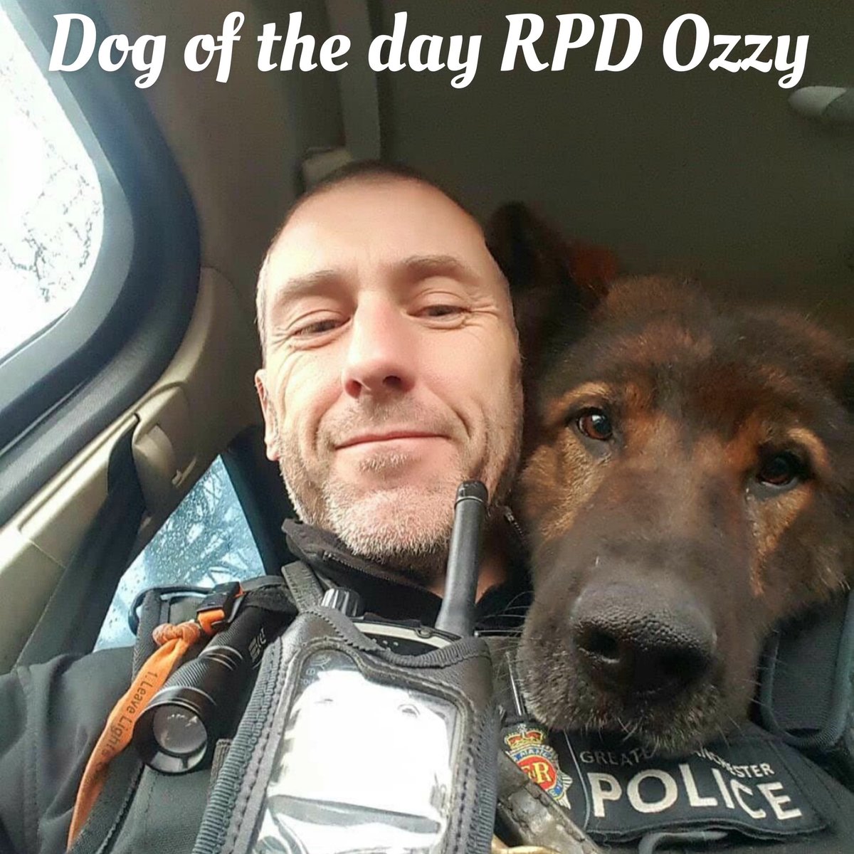K9memorialUk's tweet photo. Our dog of the day today is RPD Ozzy.

It’s with a heavy heart that we share with you that yesterday Ozzy sadly crossed the rainbow bridge🌈. Our thoughts are with his handler Andy and his family at this sad time😢

Thank you for your service🐾💙🐾#WeWillRememberYou 

@GMPDogs https://t.co/SGcPJpkgjM