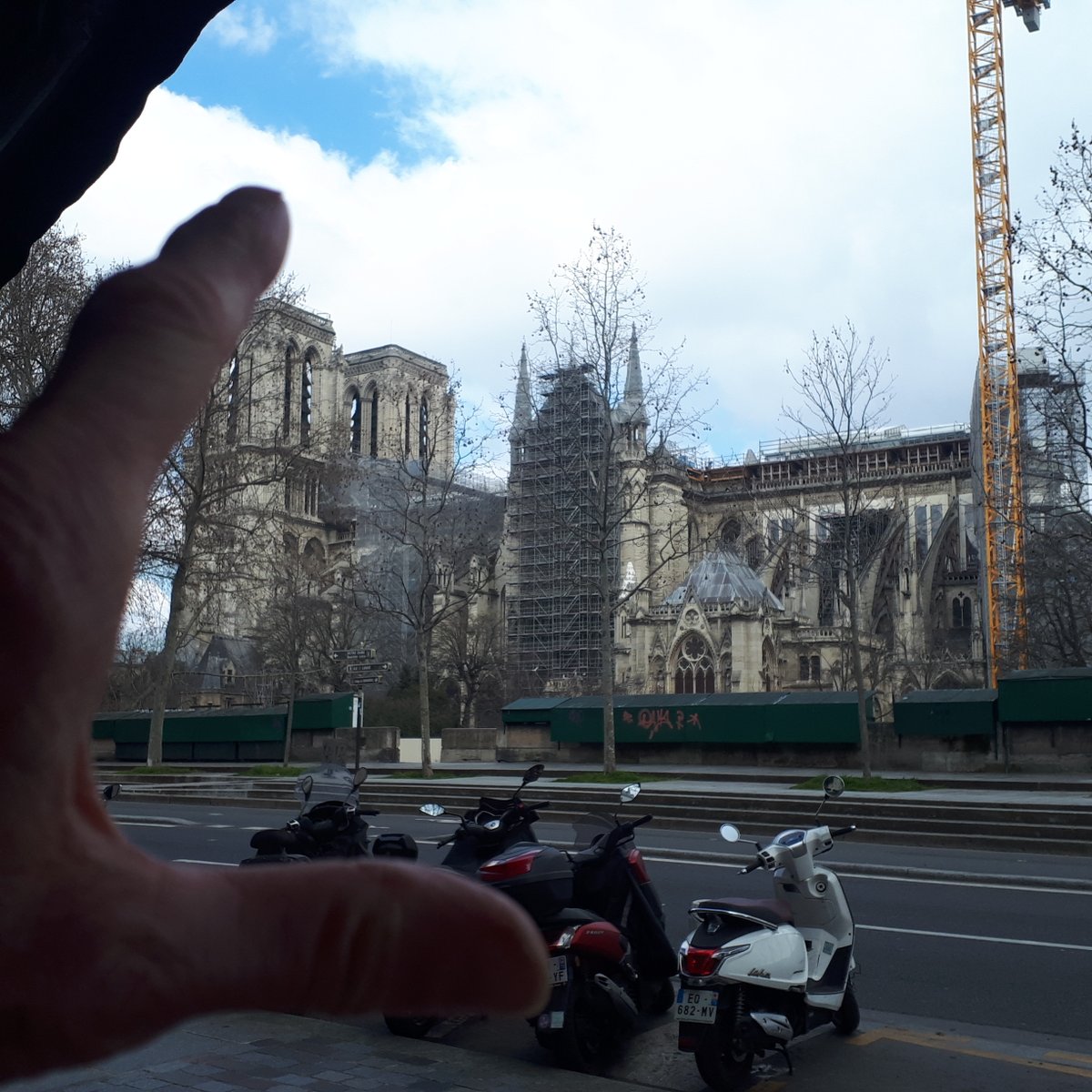 AFLIP_France's tweet photo. #United4Lipodystrophie #TousUnispourLipodystrophie #WorldLipodystrophyDay2021 #JournéeMondialeLipodystrophie2021 De plus en plus d’associations de patients se créent dans le monde, tous unis pour progresser ! https://t.co/E8qR7jqIzJ