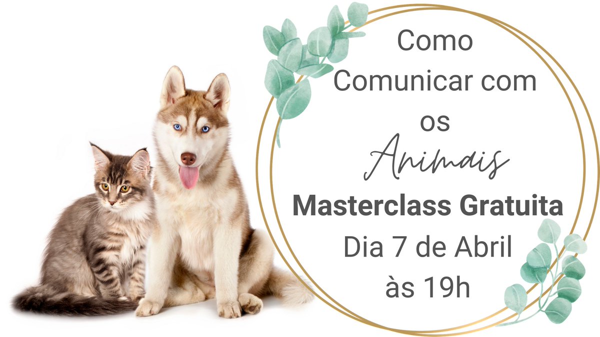 ReikiIsa's tweet photo. Masterclass Como Comunicar com Animais
Inscreve-te!
https://t.co/NiQXUJYSxr https://t.co/RbHtJdynPt