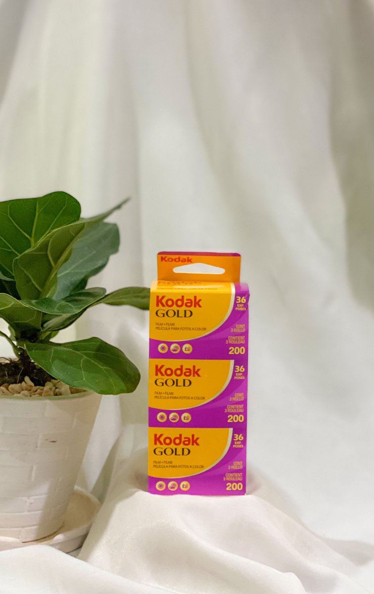 paphetchays's tweet photo. Update 🎞ฟิล์มโกดัก kodak Gold 200 135-36รูป แบ่งขาย
หมดอายุ02/2023 !เหลือ3ม้วนเท่านั้น!
🔥ขายม้วนละ 225 บาท 🔥
💥1 แพ็ค 3 ม้วน 670 บาท💥
📍ส่ง ลทบ.30฿ EMS 50฿
⚡️ส่งแฟลช 35 ฿
📌จัดส่งทุกวันค่ะ
#ฟิล์มราคาถูก #ขายฟิล์ม #ภาพฟิล์ม #กล้องฟิล์ม #35mm #36exp #film https://t.co/vQTZKutA5a