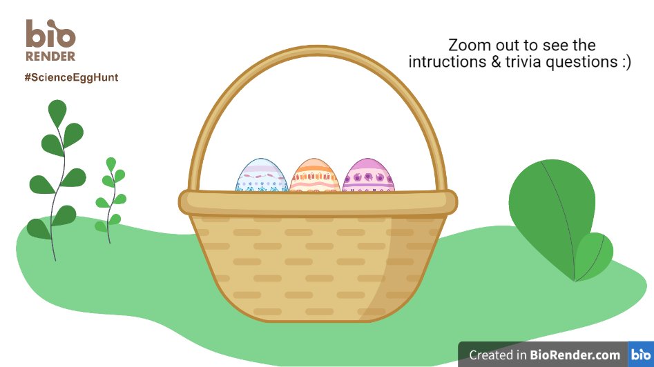 monicavuta's tweet photo. #ScienceEggHunt @BioRender https://t.co/a7nd3PRROL