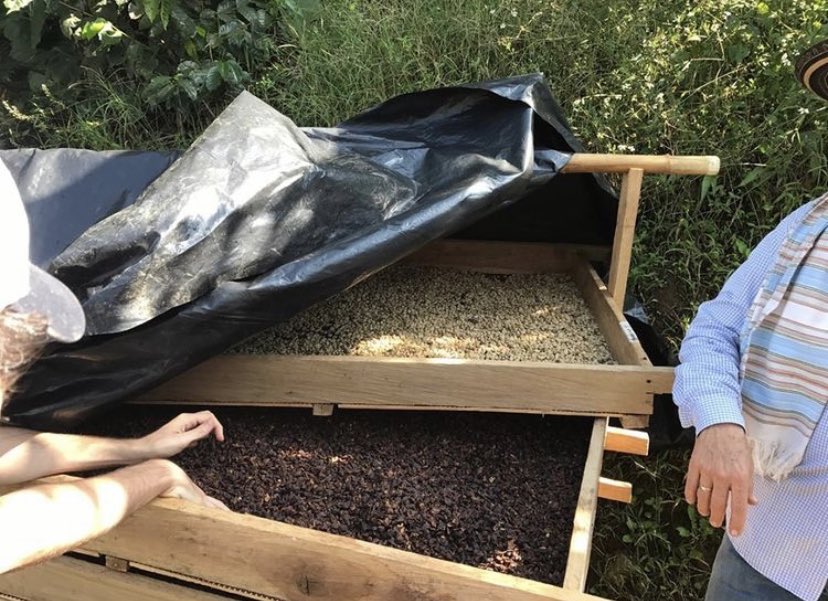 chooseinfuse's tweet photo. From the bean to the brew in your hand, our team ensures all guests a fresh cup of coffee or tea, every time https://t.co/Rl5phwNE3e