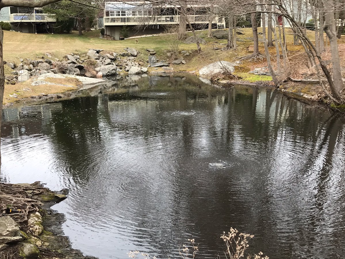 thepondandlake's tweet photo. Improve the health of your pond with an AirMax diffused aeration system. 

#diffusedaeration #pondaeration #pondaerators #greenwichct #fairfieldcountyct #fairfieldcounty #greenwichrealestate #greenwichconnecticut #greenwichhomes #aerationsystem #airmaxaeration https://t.co/cMnxelM06z
