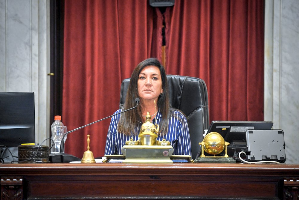 laurmachado's tweet photo. En @cnnradioarg "@alferdez prohibió por Decreto el voto por correo. Miles de argentinos que viven en el exterior no podrán votar, ya que en pandemia se les dificulta el traslado a Consulados o Embajadas. Desde el @proargentina presentamos un Amparo para que deroguen ese Decreto". https://t.co/8n9IMFed2f