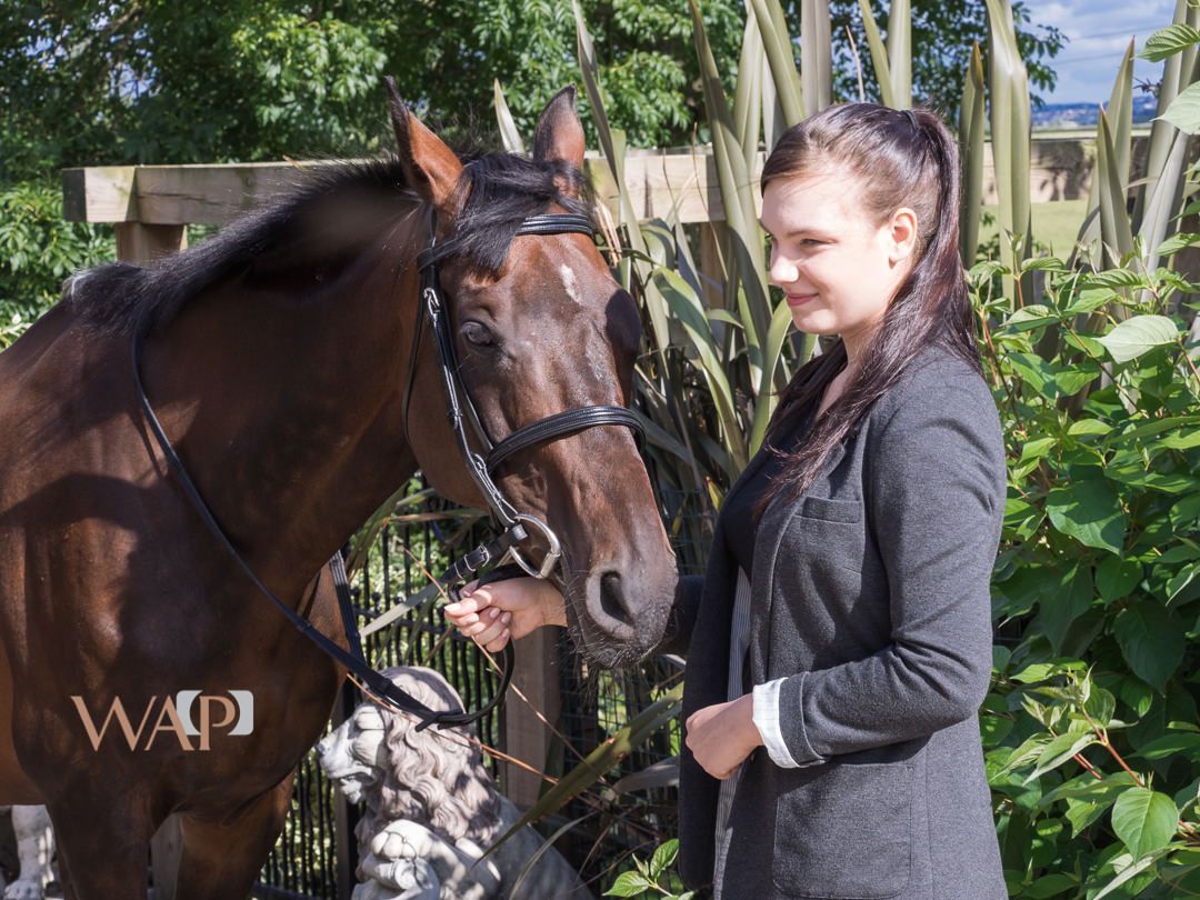 wapphotography's tweet photo. As I understand it we can now start to run equine sessions again in England including socially distanced group sessions . If you are interested in having a photoshoot with your horse during the summer why not check with the yard owner and if they are ok with it drop me a message https://t.co/vEMpKE9CLh
