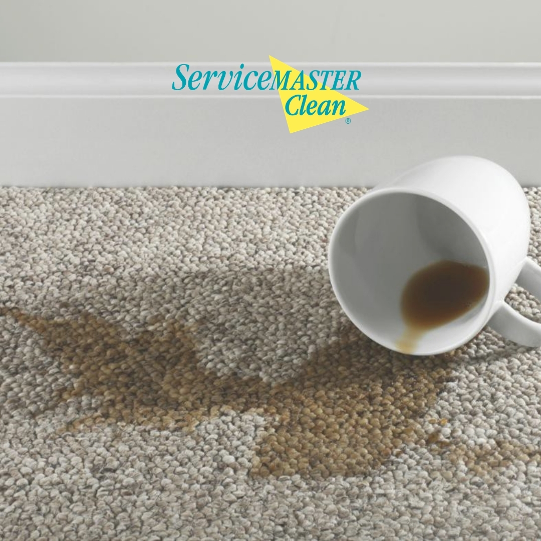 smelitecleaning's tweet photo. The longer you let a carpet stain sit, the harder it will be to get it out!
Don't wait any longer! Let the commercial cleaning experts take care of it!
📞(800) 932-9940
#ServiceMaster #NOLA #EliteClean https://t.co/EERXqUdBnh