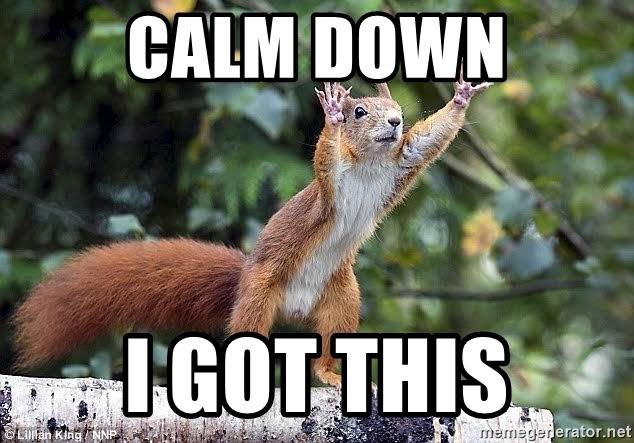 We got this meme. I got this. You got this. Кронк стелс. Уилл поултер мы миллеры.