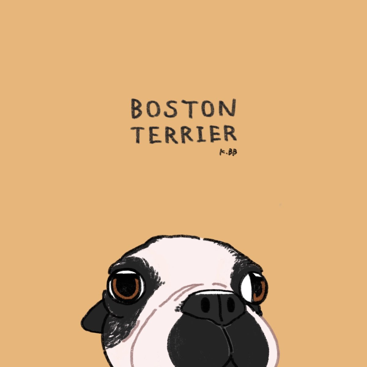 きばやしbb 21 04 01 友達のワンちゃんを描かせて貰いました リアルめになったのでもっとデフォルメして描きたい アイコンのような想定 ボストンテリア イラスト イラストレーション Ilustration 絵 犬