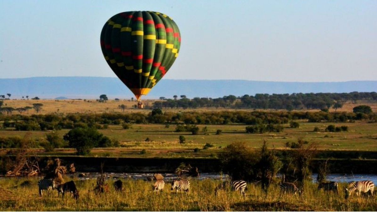 bookallsafaris's tweet photo. Whether it’s witnessing the sunrise from a hot air balloon or catching the first glimpse of the Big Five animals, a #safari in Africa offers a myriad of spectacular wildlife experiences.
In this article, find out which are the most memorable experiences.
https://t.co/OKwfQaBaG0 https://t.co/v2JPqEgTjO