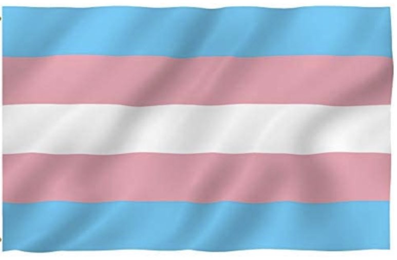 Vandaag is het Transgender day of visibility; omdat het met de acceptatie, veiligheid en weerbaarheid van transgenders in Nederland nog droevig gesteld is. Als 1ste gemeente hees Den Haag de transgendervlag. #trotsopdenhaag #emancipatie <a href="/PEPDenHaag/">PEP Den Haag</a>