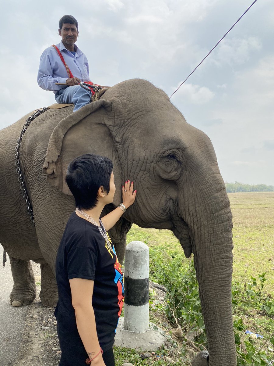 literbasar's tweet photo. Highway blessings. Where else can one find pachyderms on the highway?Amazing Assam.A decade of my travels,never have I missed my sightings.@himantabiswa @sarbanandsonwal @CMOfficeAssam https://t.co/cylPdW7IQb