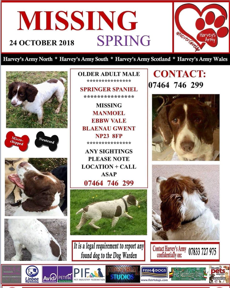 rosiedoc666's tweet photo. Weโre you at #Manmoel #EbbwVale 24/10/18 DID YOU #FindSpring ?
This is SPRING that very day, it was in THIS area he....VANISHED!
I wonder what was going through his mind that day...wind flapping his #Spaniel ears, happy & not a care in the world ๐
That ended suddenly ๐ช๐ https://t.co/OPwUrOjvdi