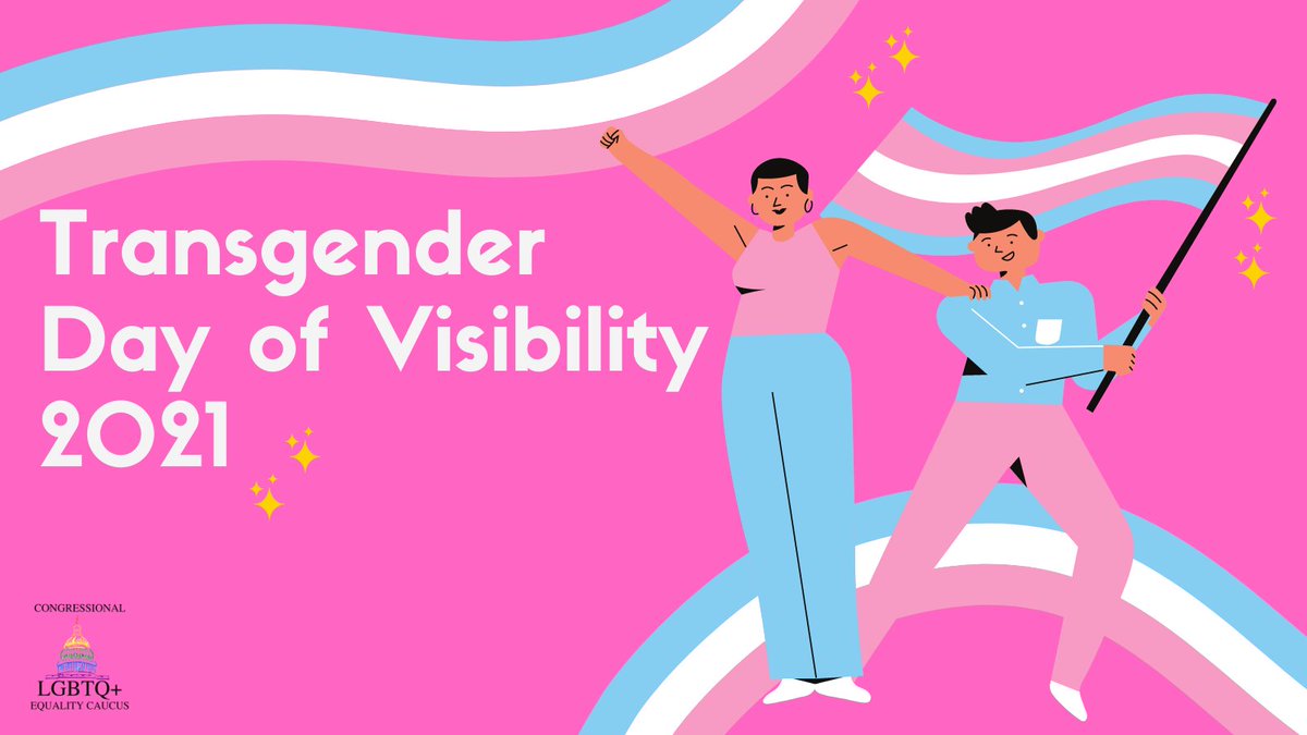 RepRaskin's tweet photo. On #TransDayOfVisibility, we celebrate the achievements, contributions and progress of the transgender community. Let’s honor the bravery and resiliency of all trans, non-binary and gender nonconforming individuals by uplifting their rights. #TransRightsAreHumanRights https://t.co/c4r276kQOz