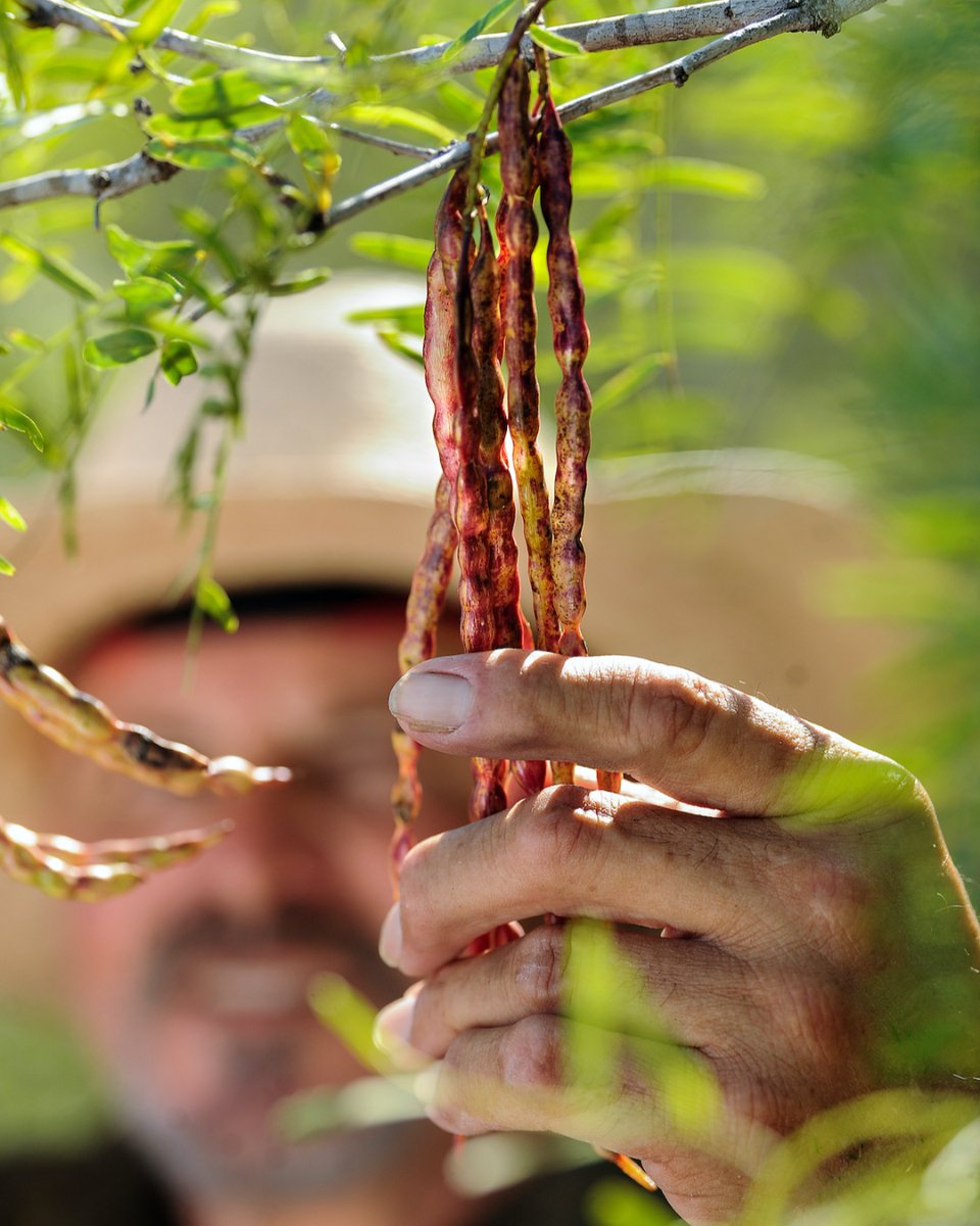 Wild Rag Vodka 🏆 tweet media