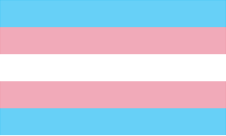 Today is Trans Day of Visibility. As a Top Trans Employer in the Stonewall Workplace Equality Index we're proud to be an inclusive employer for all.

Alongside <a href="/BuildTogetherHE/">Build Together and Friends</a> we will strive to highlight and address the challenges Trans people face in our organisation and sector